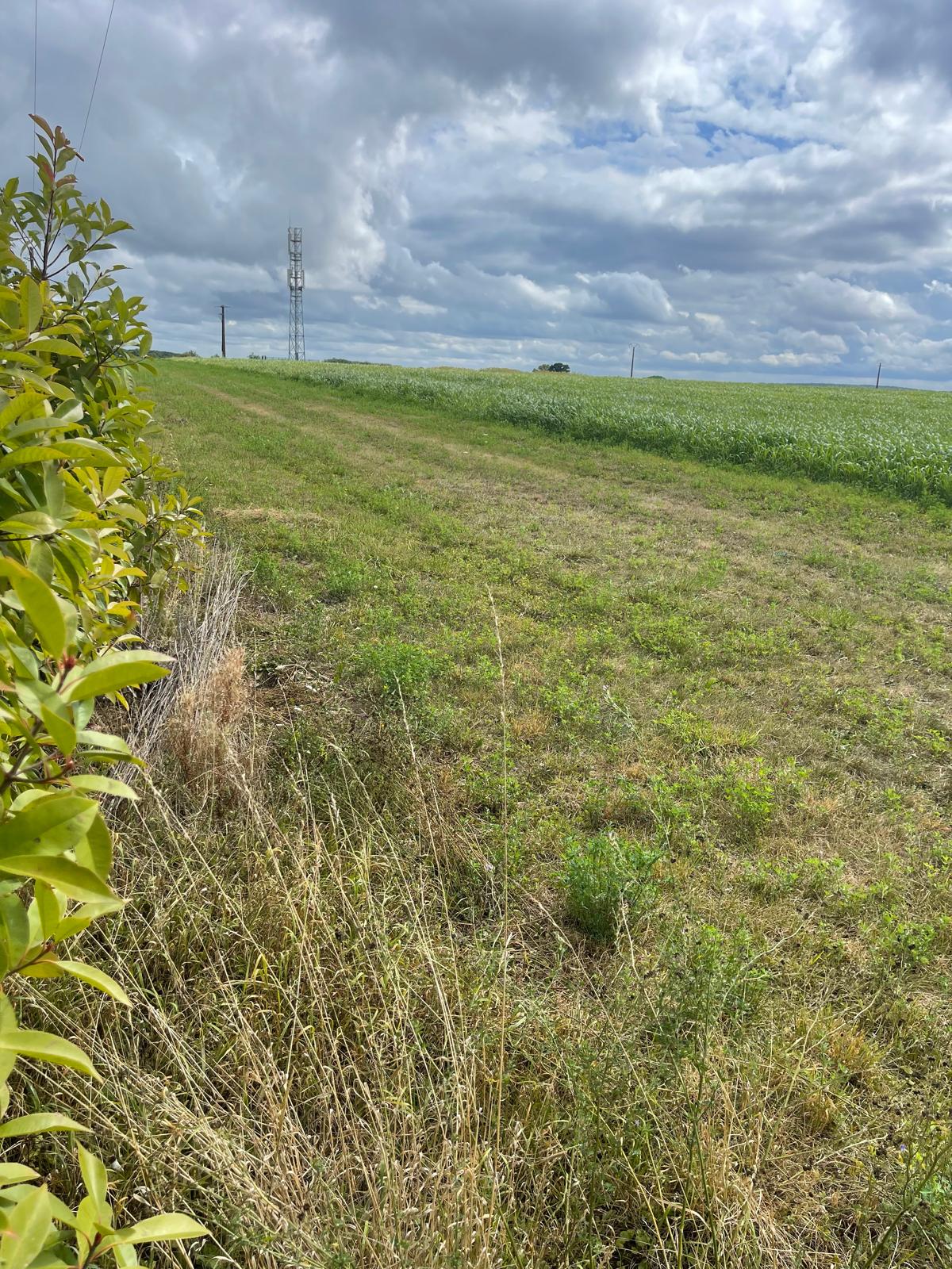 UN OISEAU RARE A SEMPIGNY !