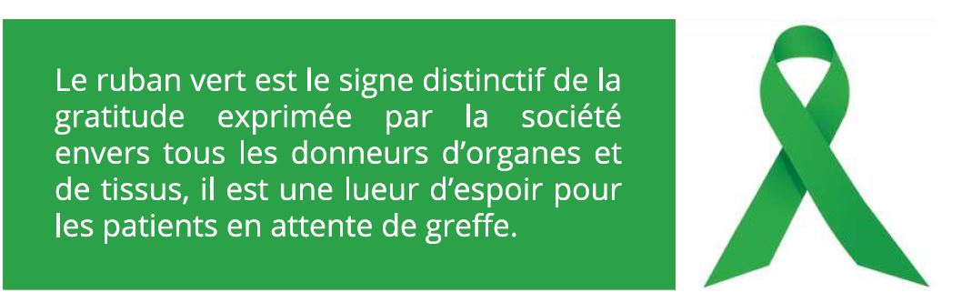 NOTRE PREMIER GRAND PROJET !