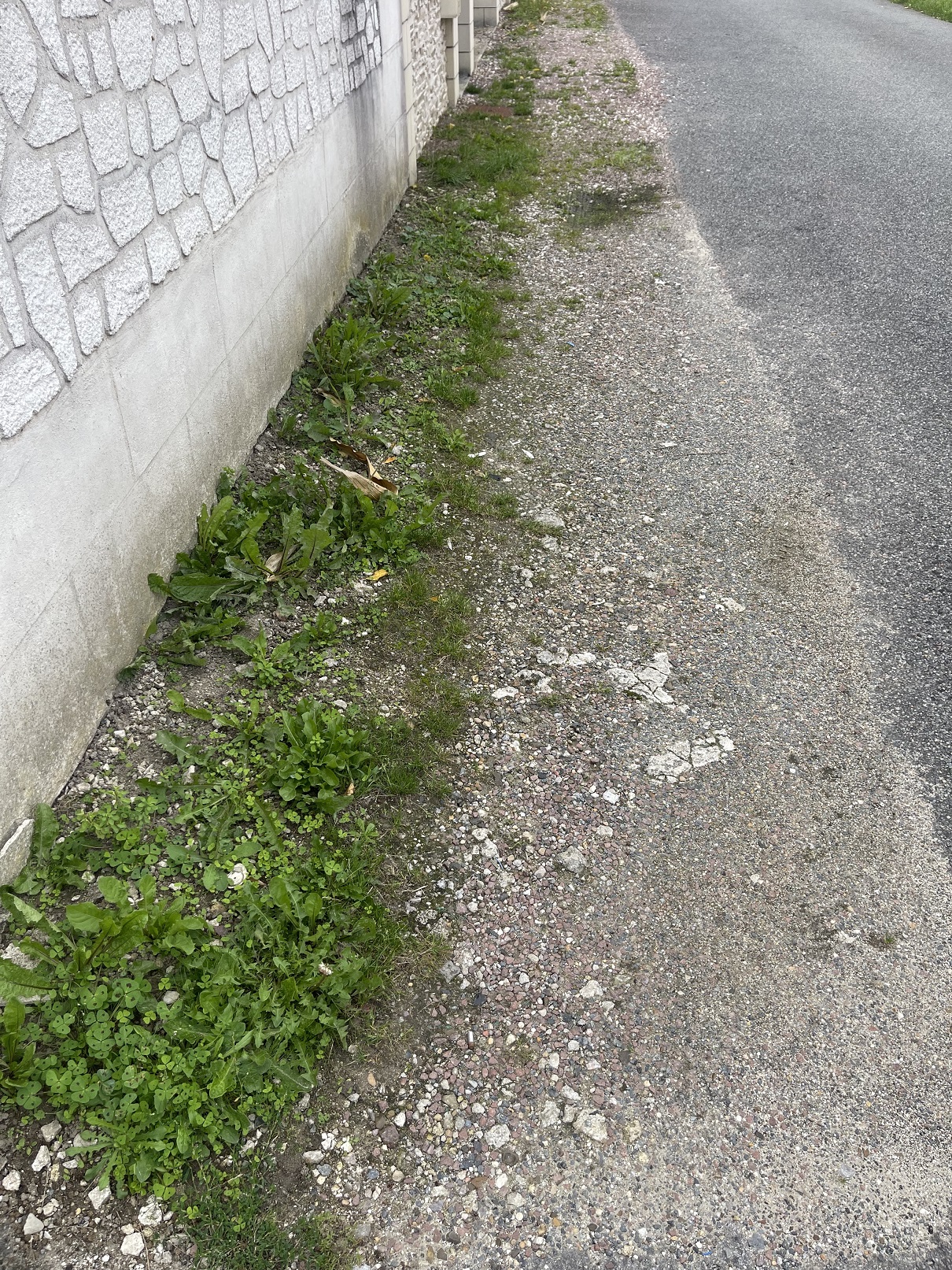 L'ENTRETIEN DES RUES, SUITE.