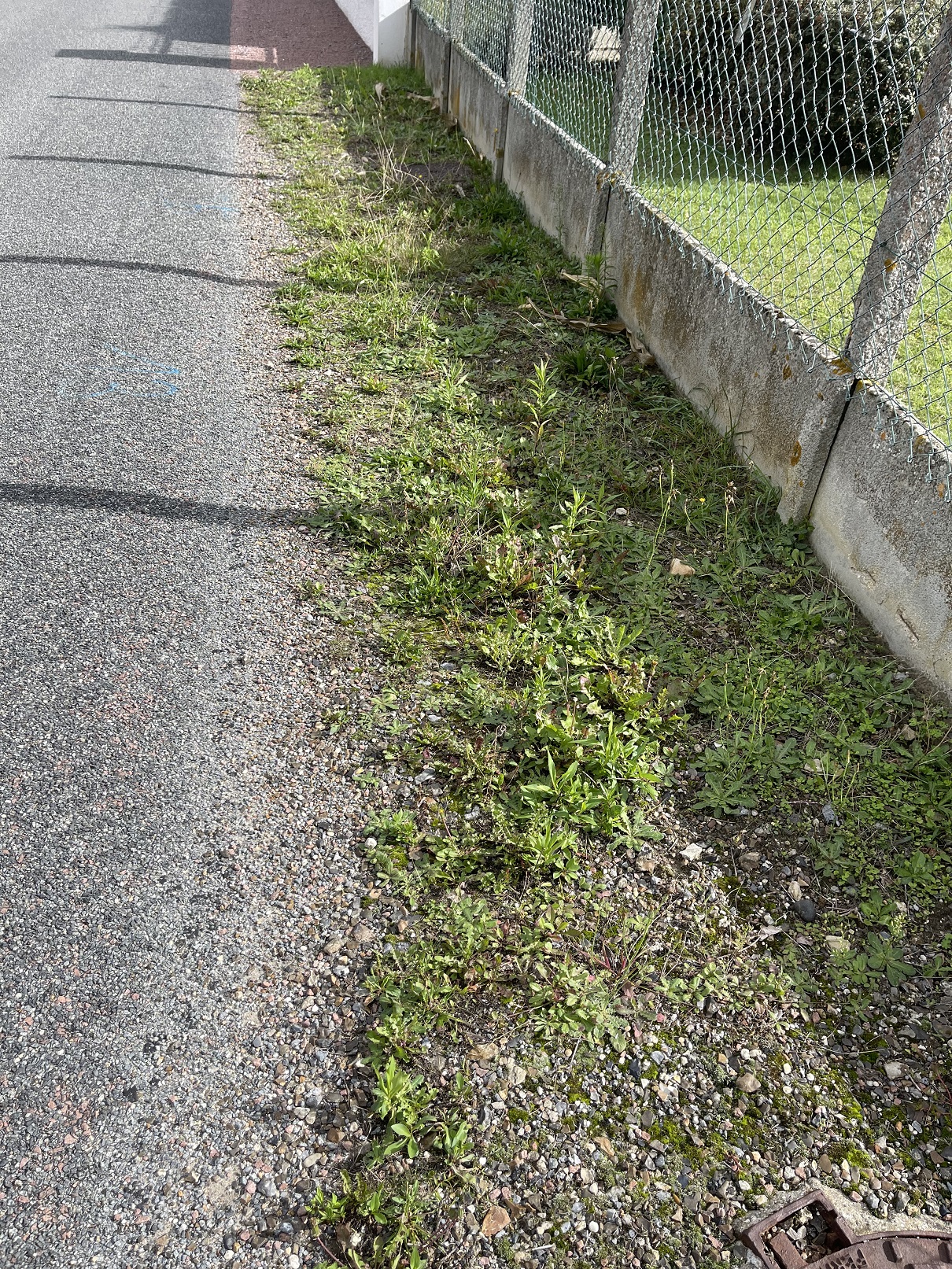 L'ENTRETIEN DES RUES, SUITE.