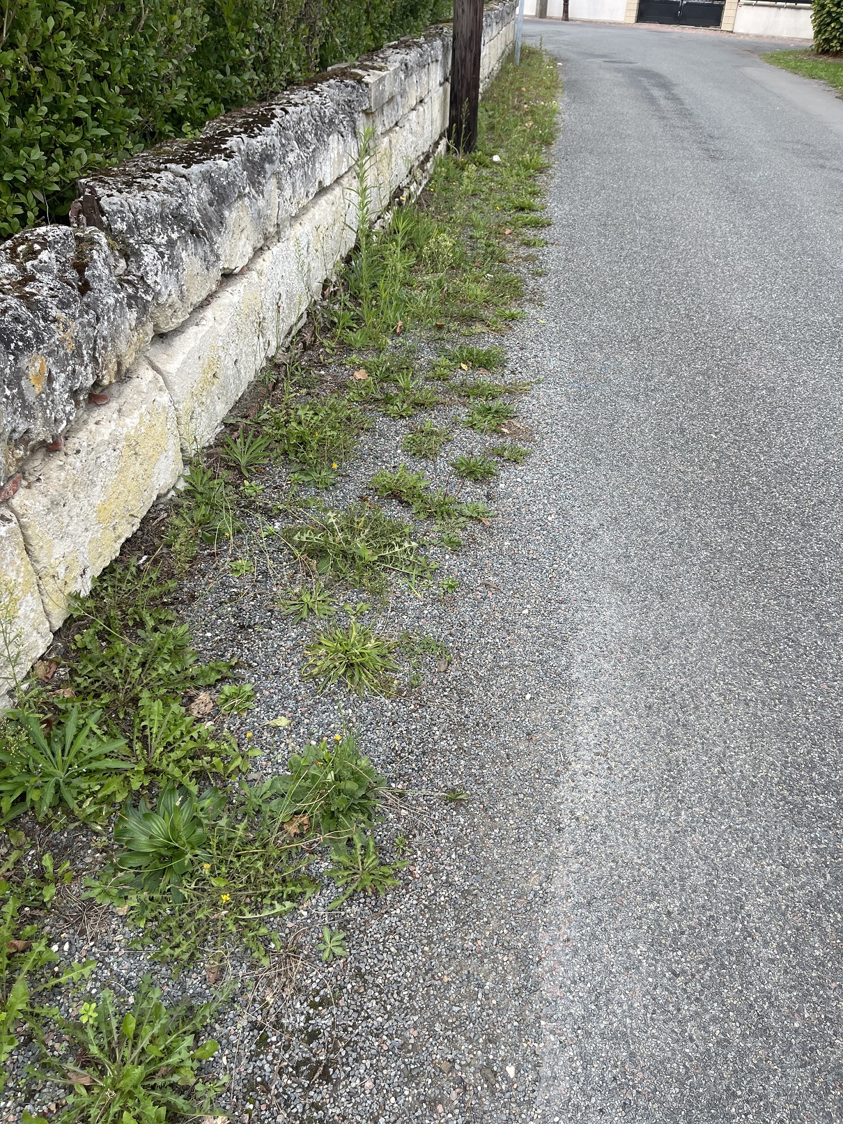 L'ENTRETIEN DES RUES, SUITE.