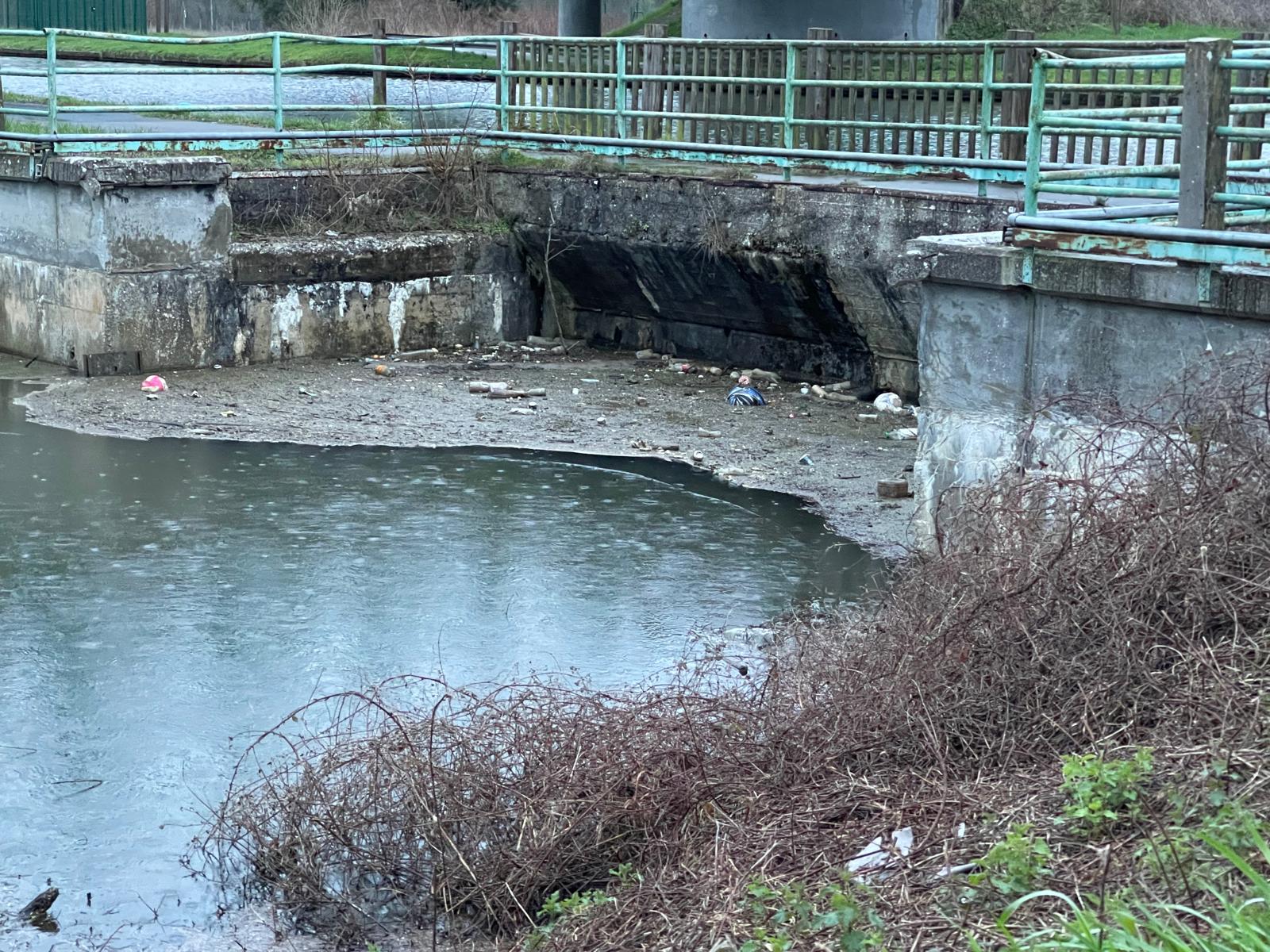 DES IMAGES QUI CHOQUENT !