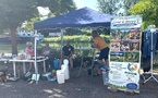 UNE ACTION DE SOLIDARITÉ POUR NOTRE ASSOCIATION !